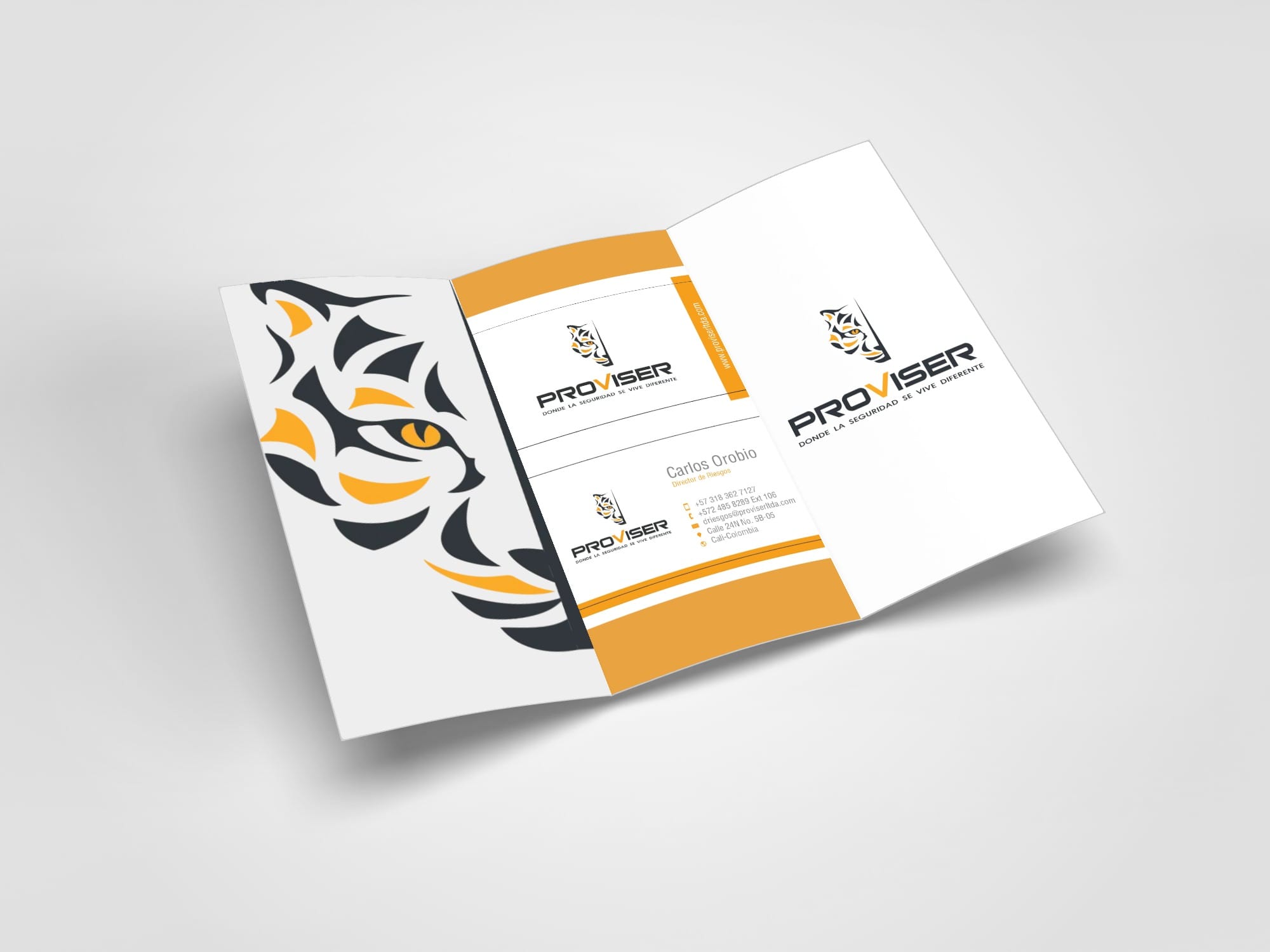 Editorial Design magazine book brochure and more in New York 2